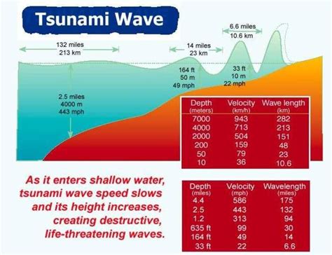 As they approach the shore, they slow down but increase dramatically in height. . How far inland would a 500 foot tsunami travel
